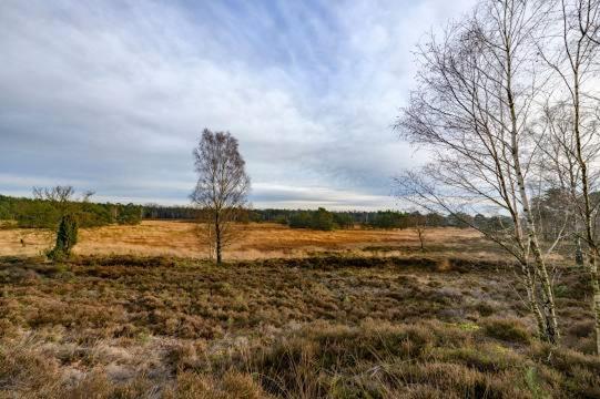 Vakantiebungalow De Schaapskooi 에페 외부 사진